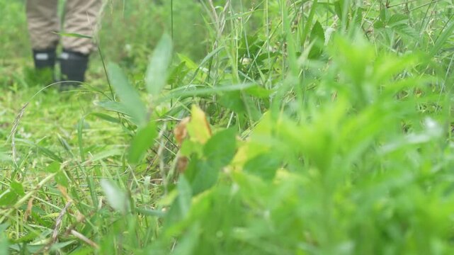 草刈り機で草を刈る男性