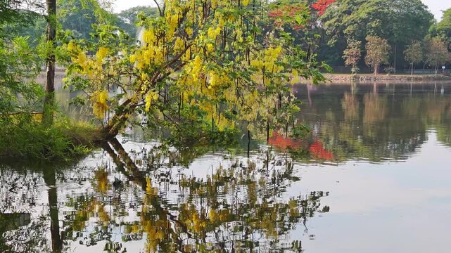 Trees in the Park หรือ Park Trees