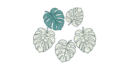 Muted monstera leaves in circular composition © alfi