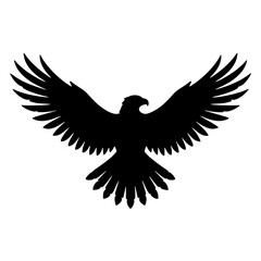 Fototapeta premium Eagle with wings spread