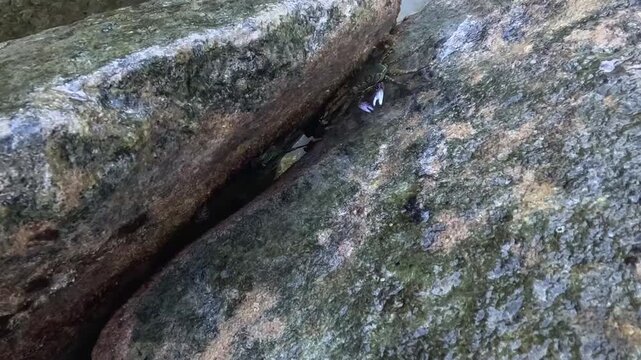 Top-Down View of a Mountain Stream Flowing Through Weathered Rocks and Mossy Crevices