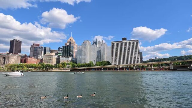 A peaceful river scene with boats and ducks on the Allegheny, set against a scenic downtown skyline.