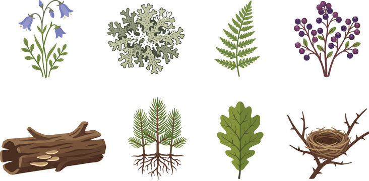 Forest flora and woodland nature vector icon set featuring wild berries fern moss tree log and bird nest