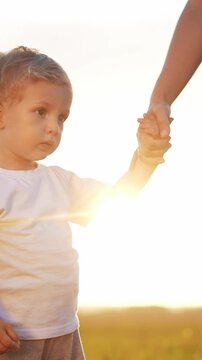 A boy is holding hands with an adult in a bright outdoor setting. The sunlight creates a warm atmosphere around the boy and the adult.