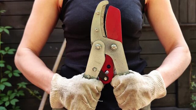 Pruning shears are shown in gloved hands outdoors, gardening equipment, branch trimming, professional maintenance, practical work.