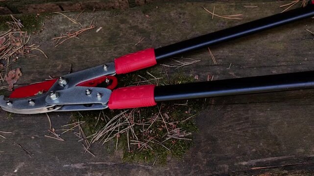 Long handled pruning loppers rest outdoors on the ground, gardening equipment, tree maintenance, landscaping work, professional tools.