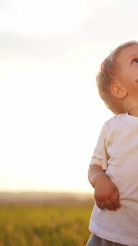 A young boy stands in a grassy field, looking up at the sky. The boy's expression shows curiosity as he explores the outdoor setting.
