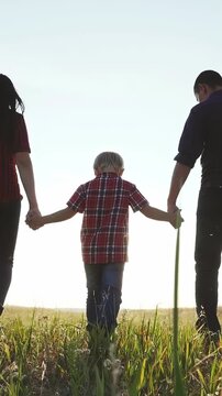 A woman and a man hold hands with a boy walking together through a field. The field is green, and the family enjoys a sunny day together.
