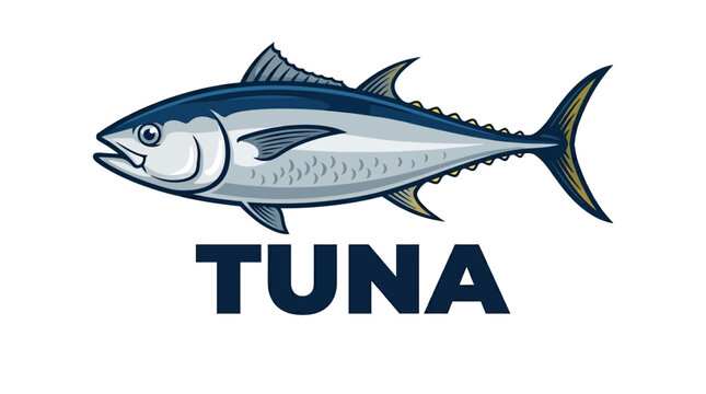 Tuna Fish Vector Illustration