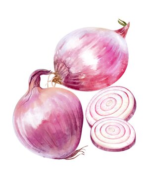 Watercolor illustration of red spicy onion bulbs and sliced onion rings, fresh vegetable composition, soft natural light, minimal rustic style, isolated on white background