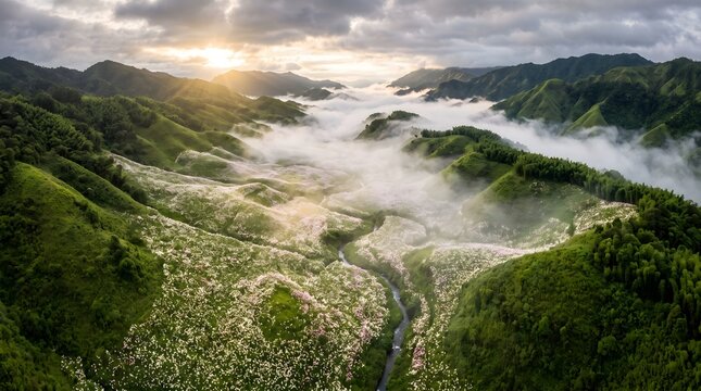 Aerial View Dzukou Valley Nagaland Manipur Border Seasonal Flowers Monsoon Mist mountain river in the mountains