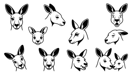Obraz premium Collection of diverse kangaroo head illustrations in outline, capturing various expressions and angles, animal icons for design