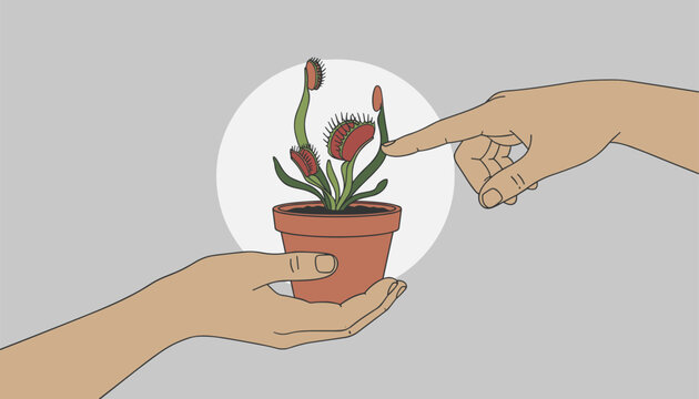 Person holds a potted Venus flytrap plant while another hand reaches to touch one of its sensitive green traps.
