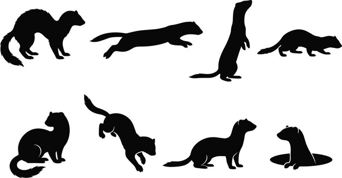 Weasel and Ferret Silhouette Collection with Running Jumping Standing and Burrow Animal Poses