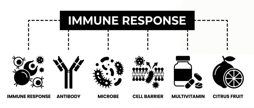 Immune response infographic vector, medical antibody icons, multivitamin health diagram