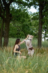 Fototapeta premium Woman rewarding dog during obedience training in forest meadow. Concept of dog behavior education, positive reinforcement, pet bonding, outdoor training, and pet brand campaign.