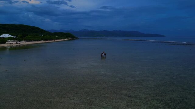 Group people and horses walking in shallow ocean water. Great aerial view drone