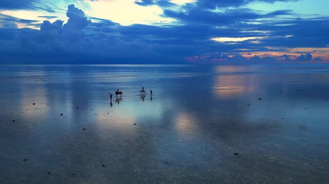 Group people and horses walking in shallow ocean water. Magic aerial view drone