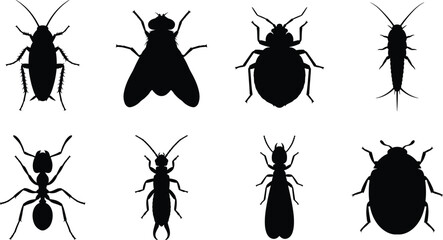 Set of solid black high contrast household pest and insect silhouettes in clean line art © MdBabul