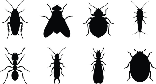 Set of solid black high contrast household pest and insect silhouettes in clean line art