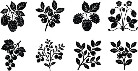 Set of solid black high contrast berry branch silhouettes including strawberry, blueberry, and raspberry © MdBabul