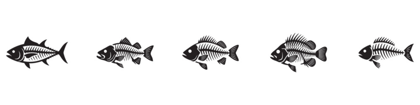 Fish bone skeleton icon set. Sea fish anatomy silhouettes. Seafood restaurant or fishing symbol. Fossil fish bone structures. Vector illustration. Vector Graphic. EPS 10