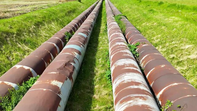 Aerial view of industrial pipes for gas, water, and oil running parallel across a green landscape, showcasing their weathered surfaces and surrounding vegetation in a natural setting