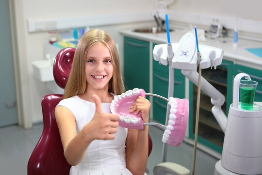 Girl smiles and holds in her hands large educational mock-up of human jaws. Girl holds her thumb up. Pediatric dentistry. Beautiful girl with long blonde hair. Teeth cleaning training
