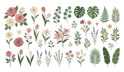 Modern Botanical Floral Elements Vector Pack © Prodip