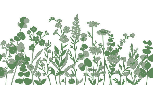 Nahtloses Muster mit gr&uuml;nen Wildblumen und Eukalyptuszweigen auf wei&szlig;em Hintergrund f&uuml;r florale Designs, Textilien und dekorative Hintergr&uuml;nde im minimalistischen Stil