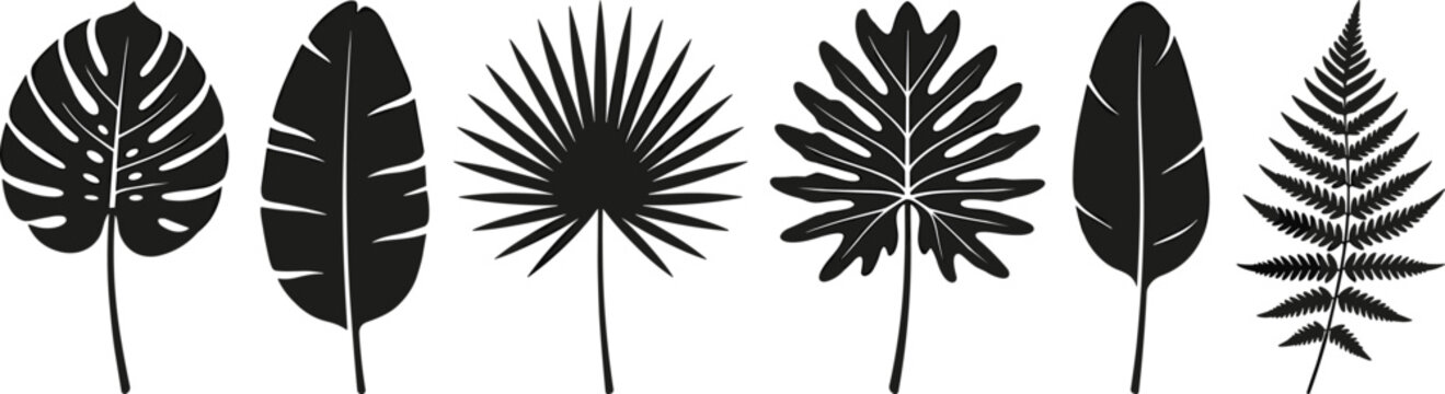 Tropical Leaf Silhouette Vector Icons of Monstera, Palm, Banana, and Fern