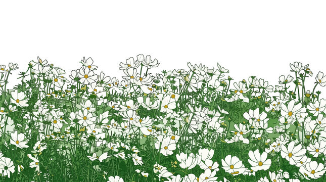 Illustrazione artistica di un prato fiorito con fiori bianchi e foglie verdi su sfondo bianco, ideale per decorazioni grafiche, biglietti di auguri e design floreale primaverile.