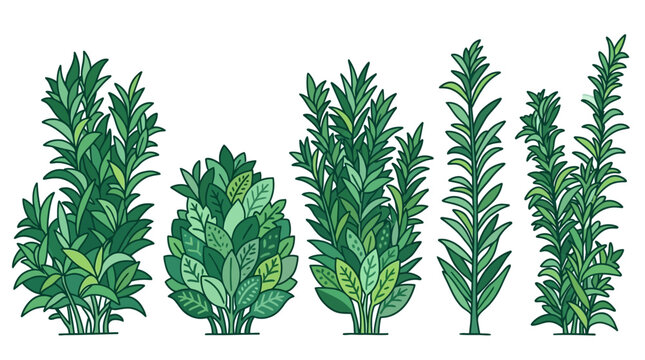 Eine Sammlung von f&uuml;nf verschiedenen gr&uuml;nen Pflanzen und Str&auml;uchern im flachen Vektor-Illustrationsstil, isoliert auf wei&szlig;em Hintergrund f&uuml;r botanische Designs.