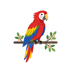 Obraz premium Tropical red parrot cartoon illustration isolated on white.