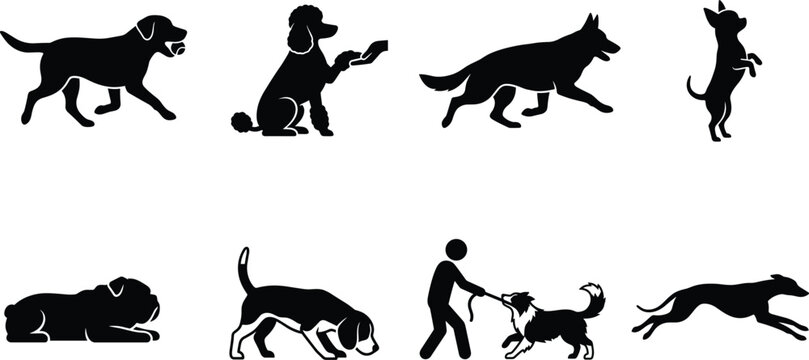 Dog Behavior and Activity Silhouette Icons Set with Running Playing Training and Sitting Poses