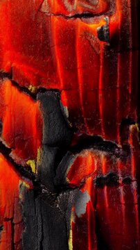 Glowing embers on charred wood. Close-up burning black wood with bright orange red glowing cracks, time-lapse motion. Ideal for fire, dramatic and abstract backgrounds.  