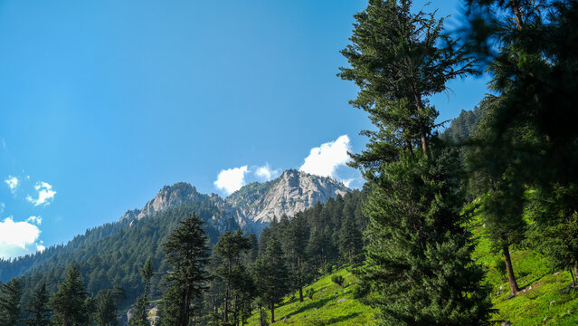Hindu Kush mountain range - Forested slopes rise toward the Hindu Kush mountain range in Kumrat Valley, Pakistan
