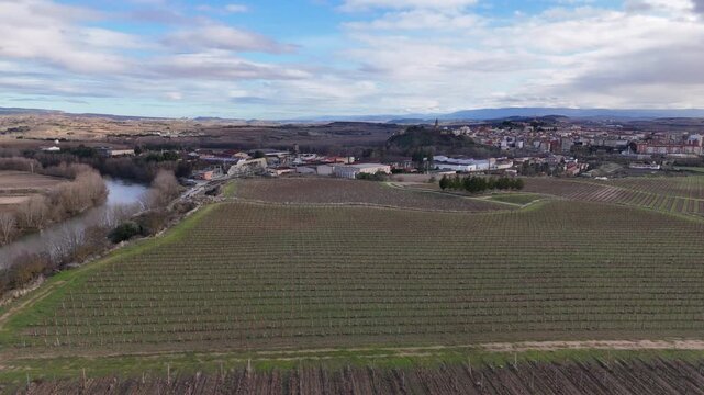 Aerial backward view from Haro town skyline to large winter vineyard rows on a hill