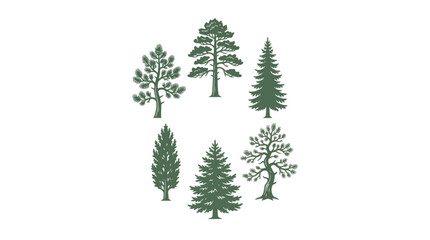 Collection of diverse coniferous and deciduous trees © Hypequadrat