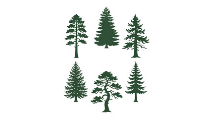 Fototapeta premium Collection of evergreen tree silhouettes
