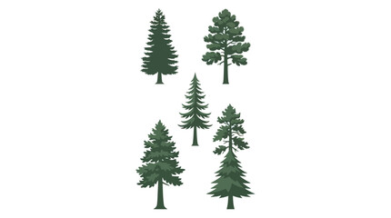 Obraz premium Collection of evergreen trees