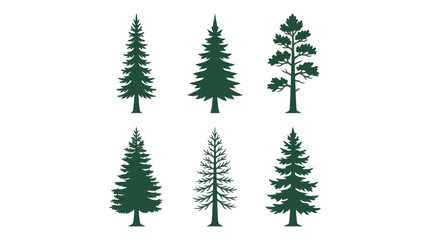 Obraz premium Collection of evergreen tree silhouettes