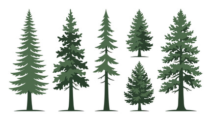 Obraz premium Collection of evergreen trees