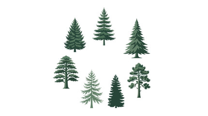 Obraz premium Collection of evergreen trees illustration