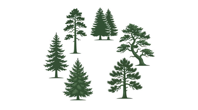 Collection of evergreen trees in circle
