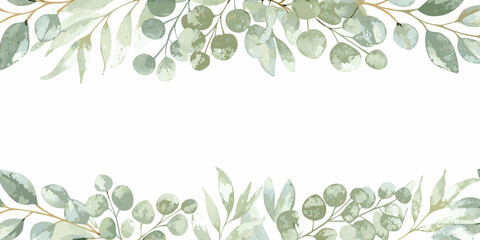eucalyptus leaf border watercolor green plant flora © Dilip