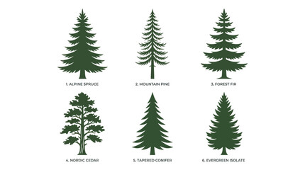 Obraz premium Collection of pine tree silhouettes