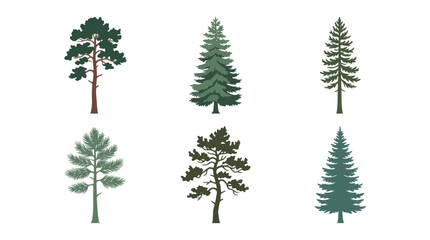 Fototapeta premium Collection of pine trees vector illustrations