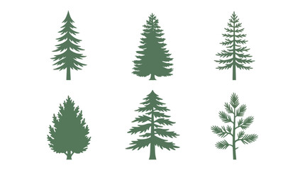Obraz premium Conifer tree silhouettes collection