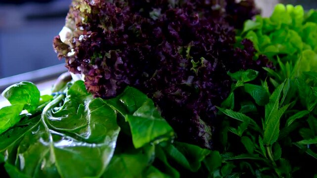blue and green lettuce at the market mint spinach